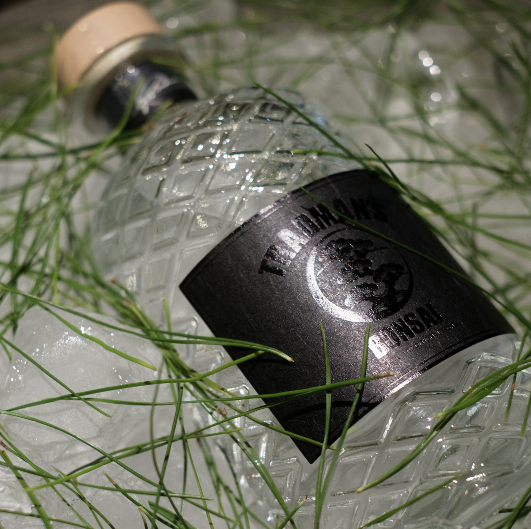 スクリーンショット 2025-09-02 14.18.49